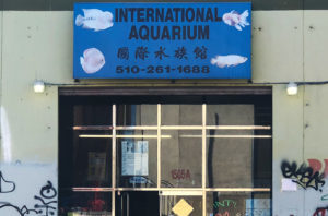 aquarium oakland ca california