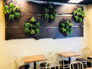 HighXIICafe
