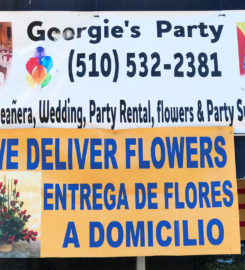 Georgie’s Party & Flowers