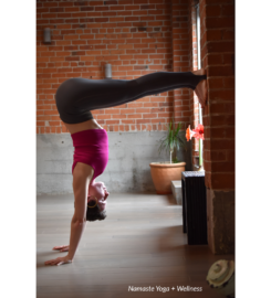 Namaste Yoga & Wellness – Rockridge