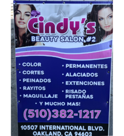 Cindy’s Beauty Salon #2