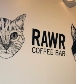RAWR Coffee Bar