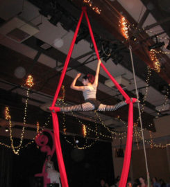 Trapeze Arts